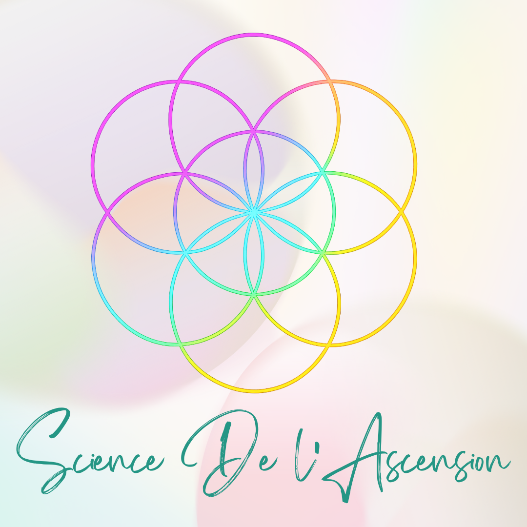 Pack Ascension Organique