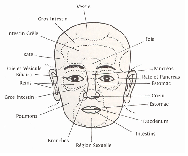 Reflexologie Faciale