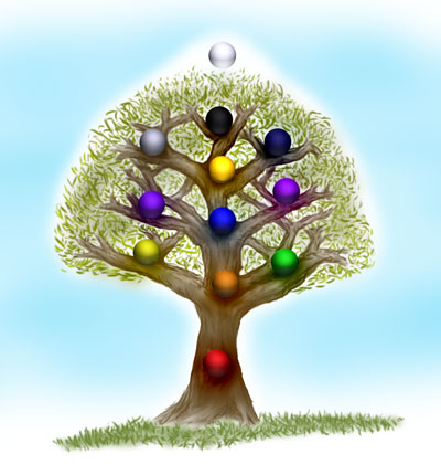 Loi de la structure et Arbre de vie